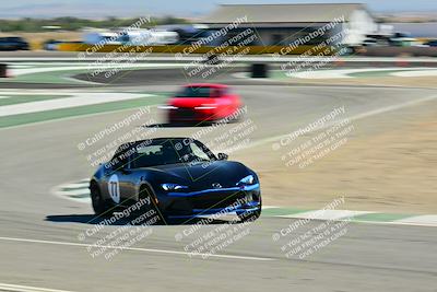 media/Nov-01-2025-Speed Ventures (Sat) [[3969607d77]]/Purple Group/Session 3 (Turns 9 and 10)/